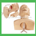 Advanced Medical Suction Training Model,medical training manikin